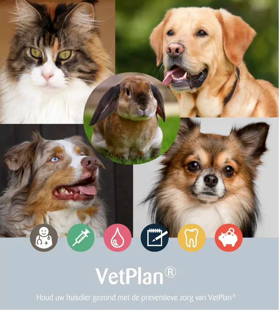 VetPlan-folder